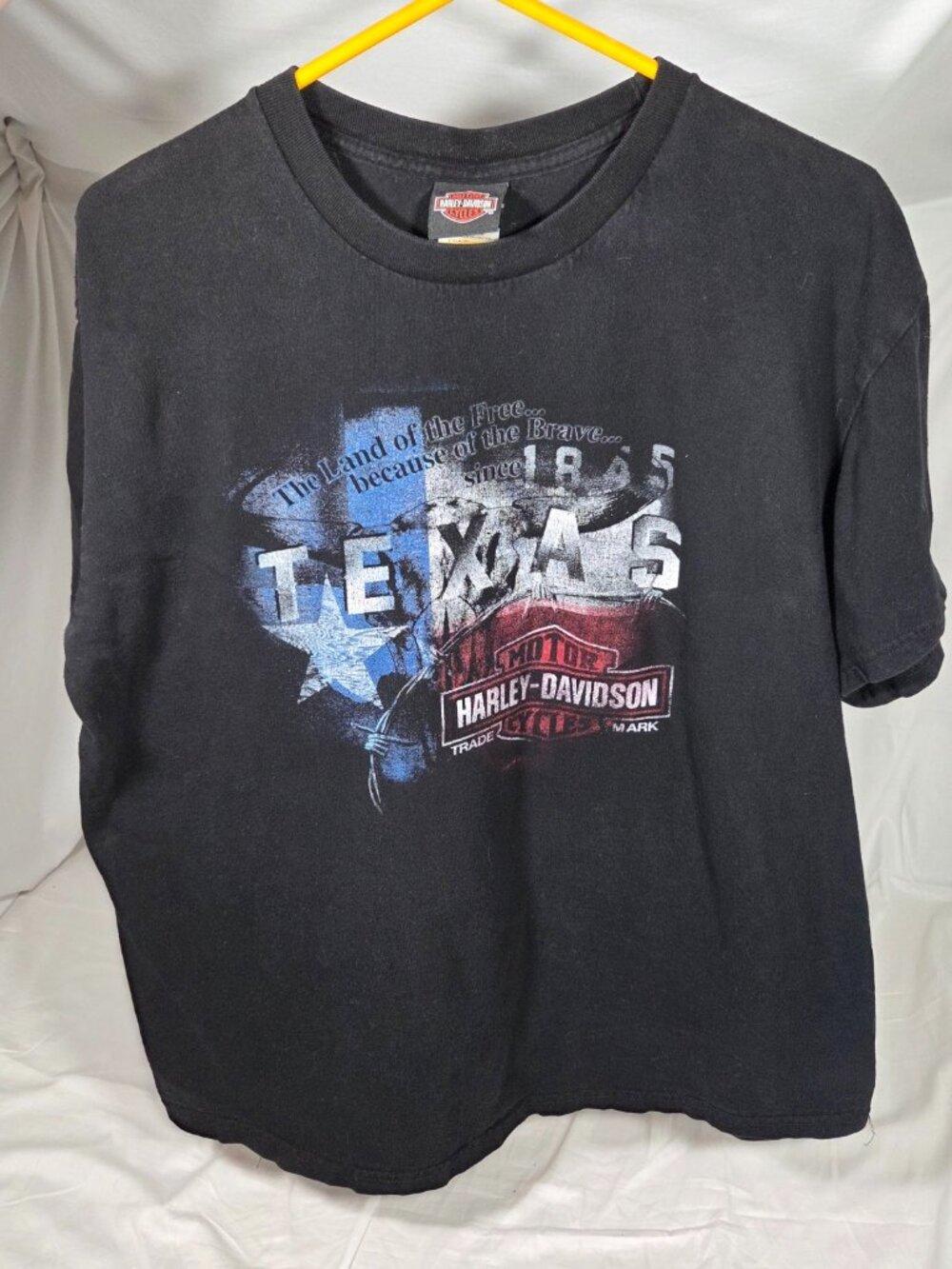 Harley-Davidson Central Texas Round Rock Armadillo Graphic T-Shirt - Men's XL